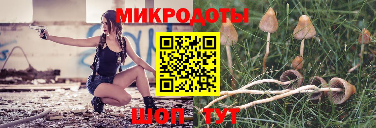 Отрадный  Псилоцибиновые грибы MAGIC MUSHROOMS  Вход с VPN 