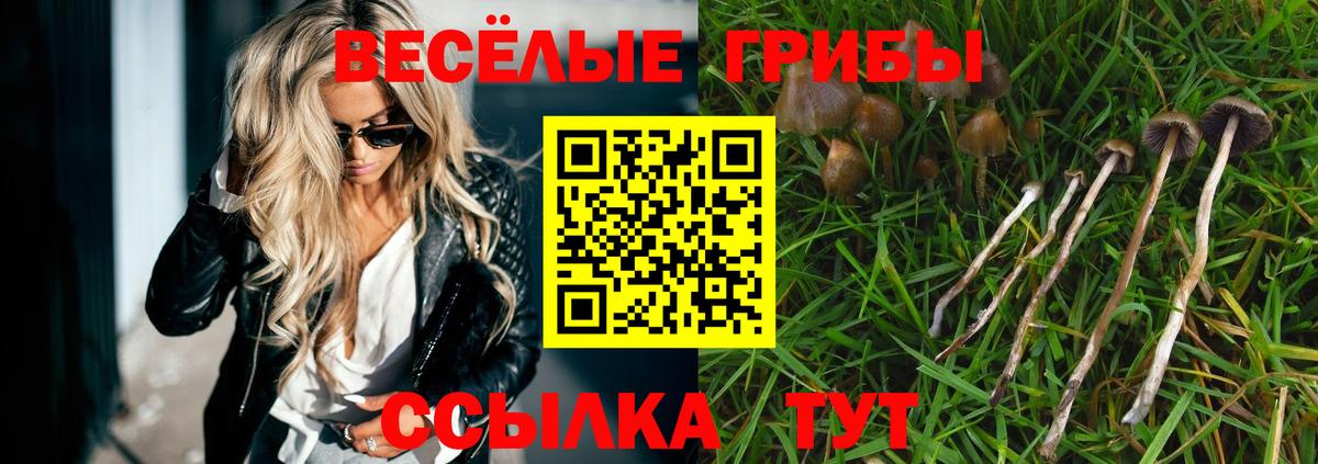 Псилоцибиновые грибы ЛСД Отрадный